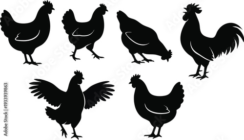 Silhouette of Roosters in Various Poses.
