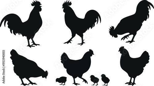 Silhouette of Roosters and Hens with Chicks.