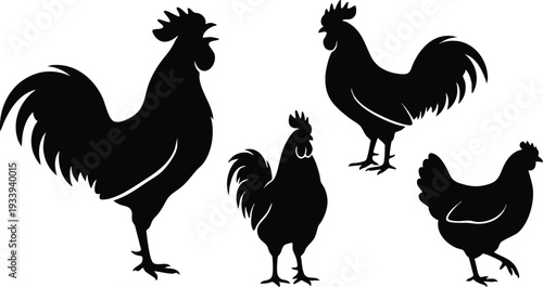 Silhouette of Roosters and Hens Standing.
