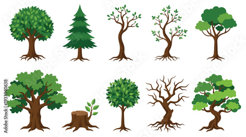 Various cartoon trees set including pine and bare tree flat vector art