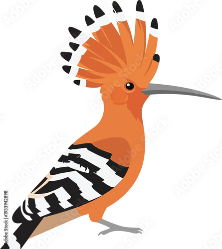 Hoopoe bird displays its distinctive orange crest and long beak clearly.
