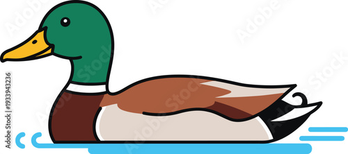 Male mallard duck swims smoothly across blue water surface illustration.
