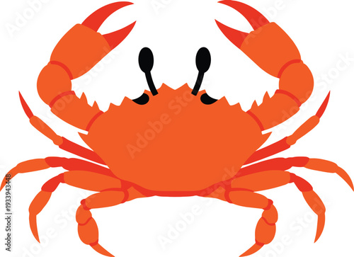 Bright orange crab illustration shows claws raised aggressively against a.