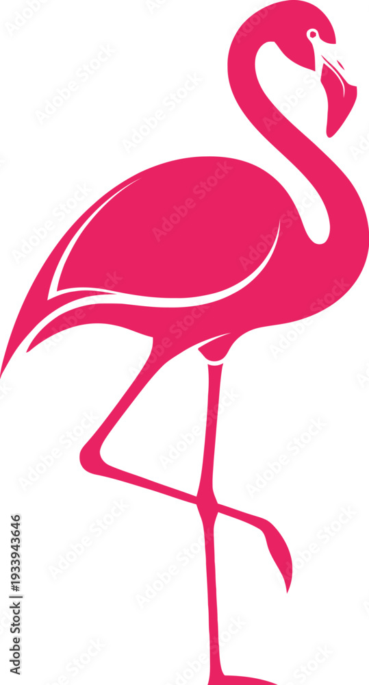 Fototapeta premium Bright pink flamingo stands gracefully on one leg against white background.