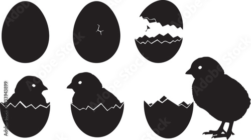 Black Silhouette of Chicken Hatching from Egg Stages