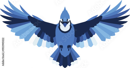 Blue jay bird with wide spread wings in a symmetrical flight pose.