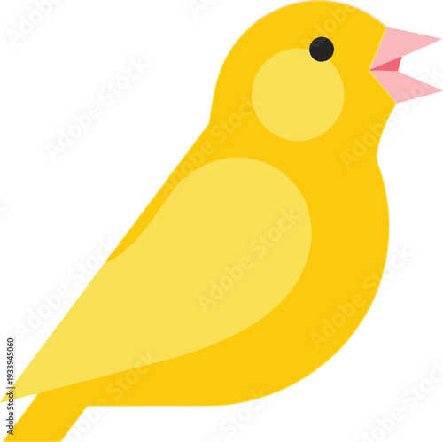 Small yellow canary bird singing with open beak isolated on a white.