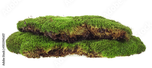 Photography Green mossy hill isolated on a white background
