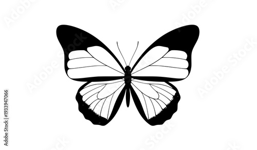 Decorative pink butterfly vector design for beauty and fashion