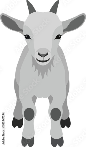 Small baby goat with small horns looks directly ahead with a gentle.
