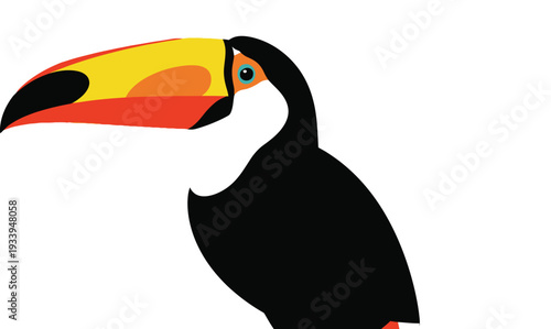 Toucan bird profile features a large, colorful beak against white.