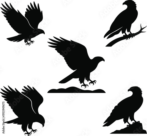 Black silhouettes of eagles in various poses on white background