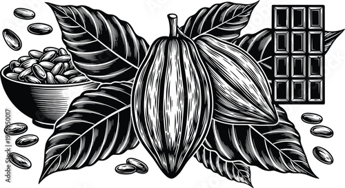 Cacao pod illustration, cocoa bean artwork, tropical fruit design, chocolate source graphic, natural ingredient symbol, botanical food art, black white drawing