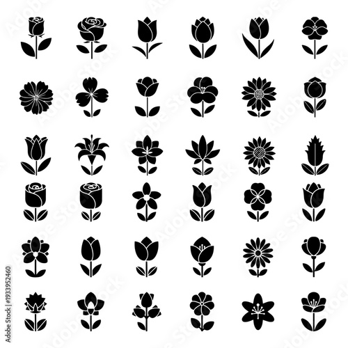 Variety of Flowers Silhouette Set - Decorative Floral Elements and Botanical Vector Pack