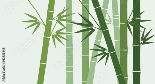 Green Bamboo Forest Background