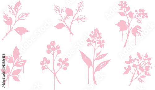Pink silhouette sprigs and berries, delicate botanical illustrations of plants and branches for feminine design elements
