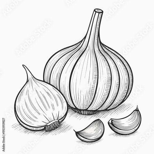 Fresh Garlic Bulb with Cloves