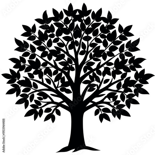 A Chinese Pistache tree silhouette vector illustration. 