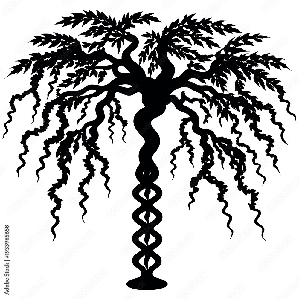 Obraz premium A corkscrew willow tree silhouette vector illustration.
