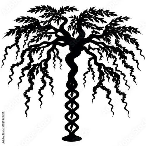 A corkscrew willow tree silhouette vector illustration.