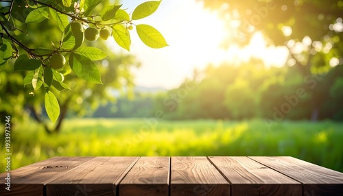 Wooden table foreground with blurry green field and sunny sky background