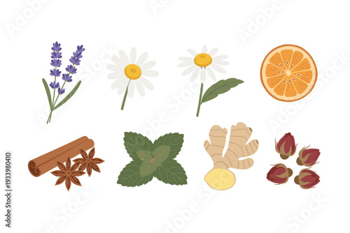 Various herbal ingredients for natural remedies and wellness, featuring aromatic lavender, soothing chamomile, refreshing orange, warm cinnamon, cool mint, spicy ginger, and fragrant dried rosebuds.
