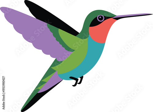 Ruby Throated Hummingbird Flying with Wings Outstretched Vector Art