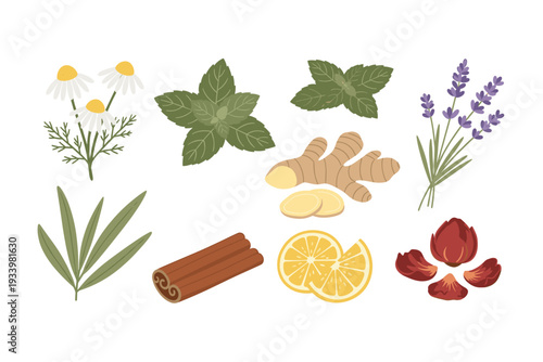 Herbal ingredients for natural remedies and aromatic teas, featuring chamomile, mint, ginger, lavender, cinnamon, lemon, and other beneficial botanicals.