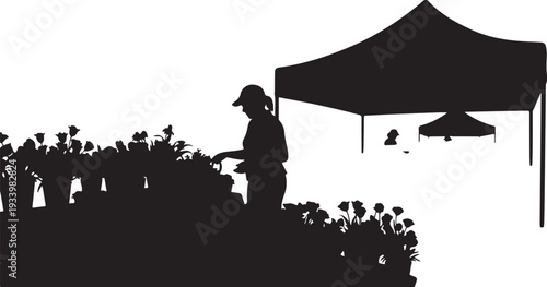 Silhouette of a person at an outdoor event festival