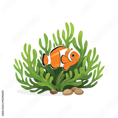 Orange clownfish swims among vibrant green aquatic plants