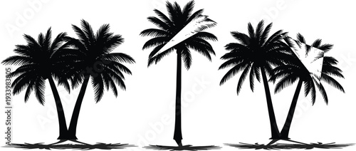 Black silhouette of three palm trees with textured fronds and shadows tropical vacation