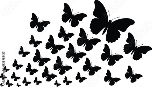 Black Butterfly Silhouette Swarm Flying in Group on White Background Representing Migration Nature Freedom Transformation Growth Spring Beauty Minimalist Vector Style Graphic Illustration Art