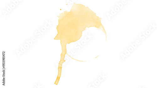 Brown Coffee Spill and Splash Isolated on White Background – Organic Liquid Stain Texture Design
