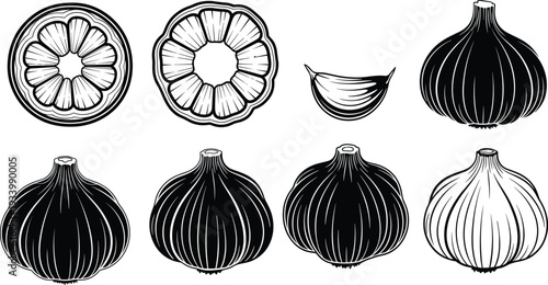 Extensive Set of Black Animal Silhouettes Including Wildlife Mammals Birds Pets Reptiles and Insects Isolated on White Background for Graphic Design and Nature Illustration Projects