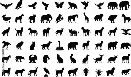 Large Collection of High Quality Black Animal Silhouettes Including Wild Mammals Birds Pets Reptiles and Insects Isolated on White Background for Graphic Design