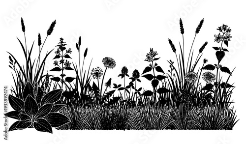 Field Meadow Plant Silhouette Landscape with Grasses and Wild Herbs Vector Set