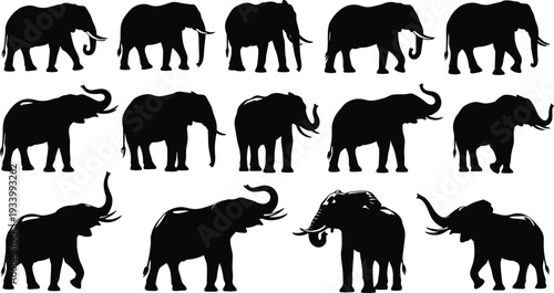 Elephant silhouette vector illustration, various poses of walking, standing, and trunk up. Great for graphic design, logo, and icons