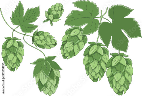 Illustration of green hop cones and serrated leaves on a black background, representing essential ingredients in the beer brewing process