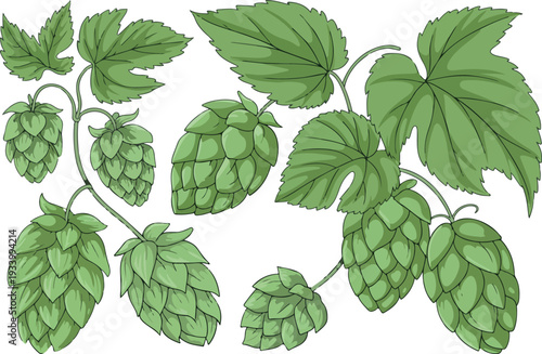 Stylized artwork of green hop cones and serrated leaves on a black background, depicting key ingredients used in brewing beer