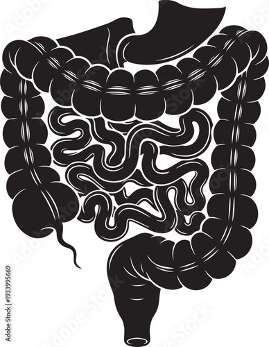 Human digestive system anatomy in black and white