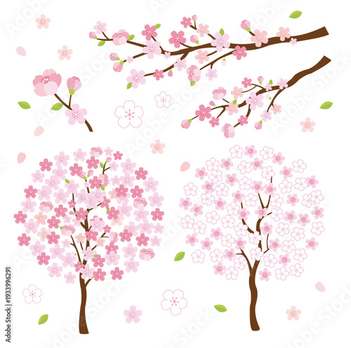 spring cherry blossom background