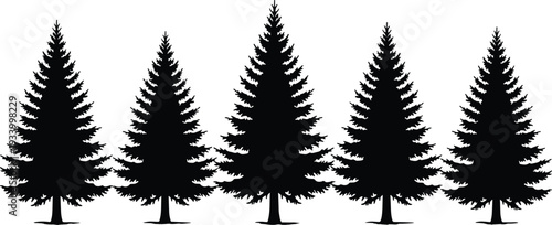Five black silhouette pine trees in a row on white background conifer evergreen