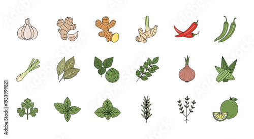 Asian Spices and Herbs Vector Illustration Set, Cooking Ingredients Icon Collection