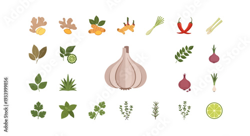 Cooking Ingredients and Spices Vector Set: Ginger, Garlic, Chili, and Fresh Herbs Collection