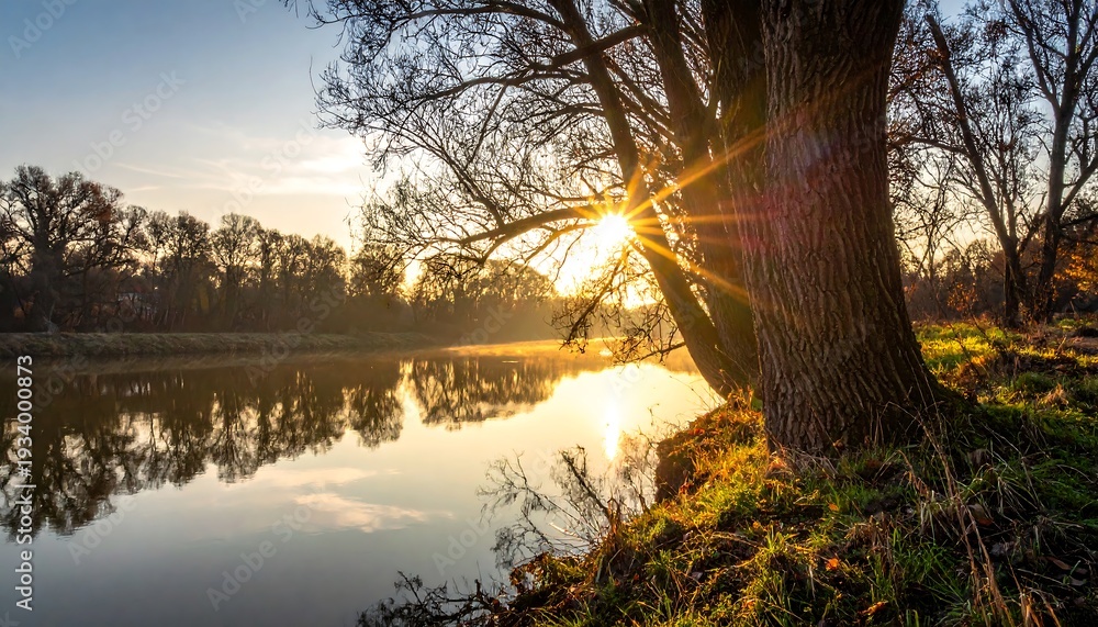 Obraz premium Serene river landscape at dawn, with sunlight shining through a tree's branches