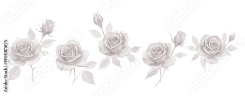 hand drawn vector illustration of a bird