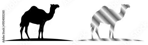 Striking silhouette of a camel against a stark background, representing resilience and desert journeys.