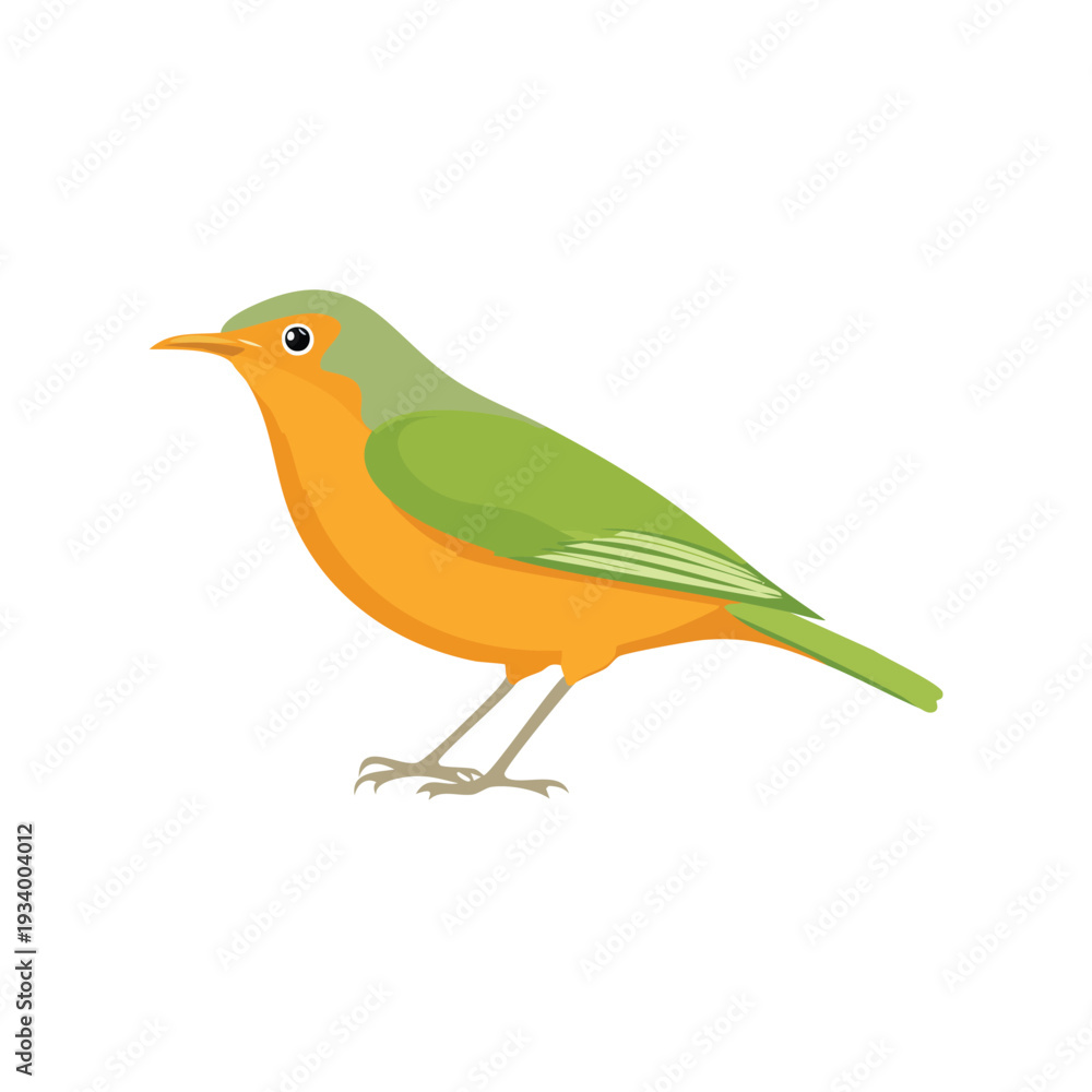 Obraz premium Colorful bird isolated on white background illustration