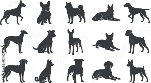 Collection of sixteen dog breed silhouettes in grid layout featuring diverse canine profiles, body shapes, ear styles, tail positions, and postures in vector illustration design