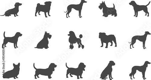 Collection of sixteen dog breed silhouettes arranged in grid layout showcasing diverse canine profiles, body shapes, ear styles, tail positions, and fur textures in vector illustration